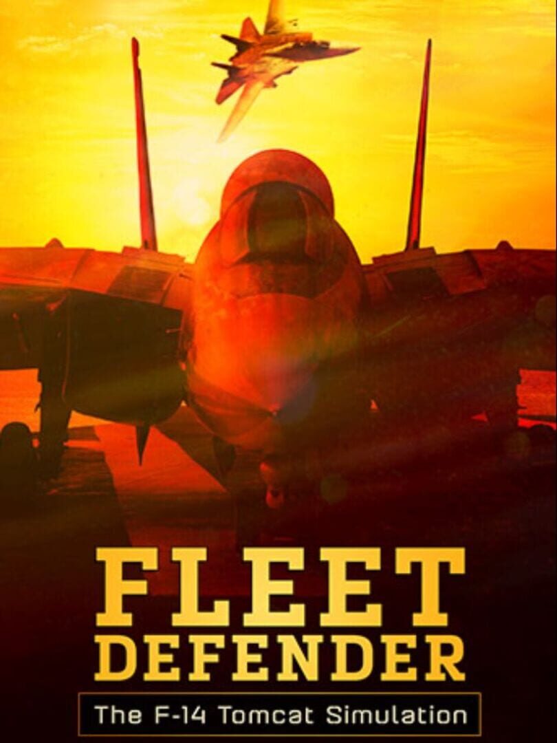 Fleet Defender: The F-14 Tomcat Simulation