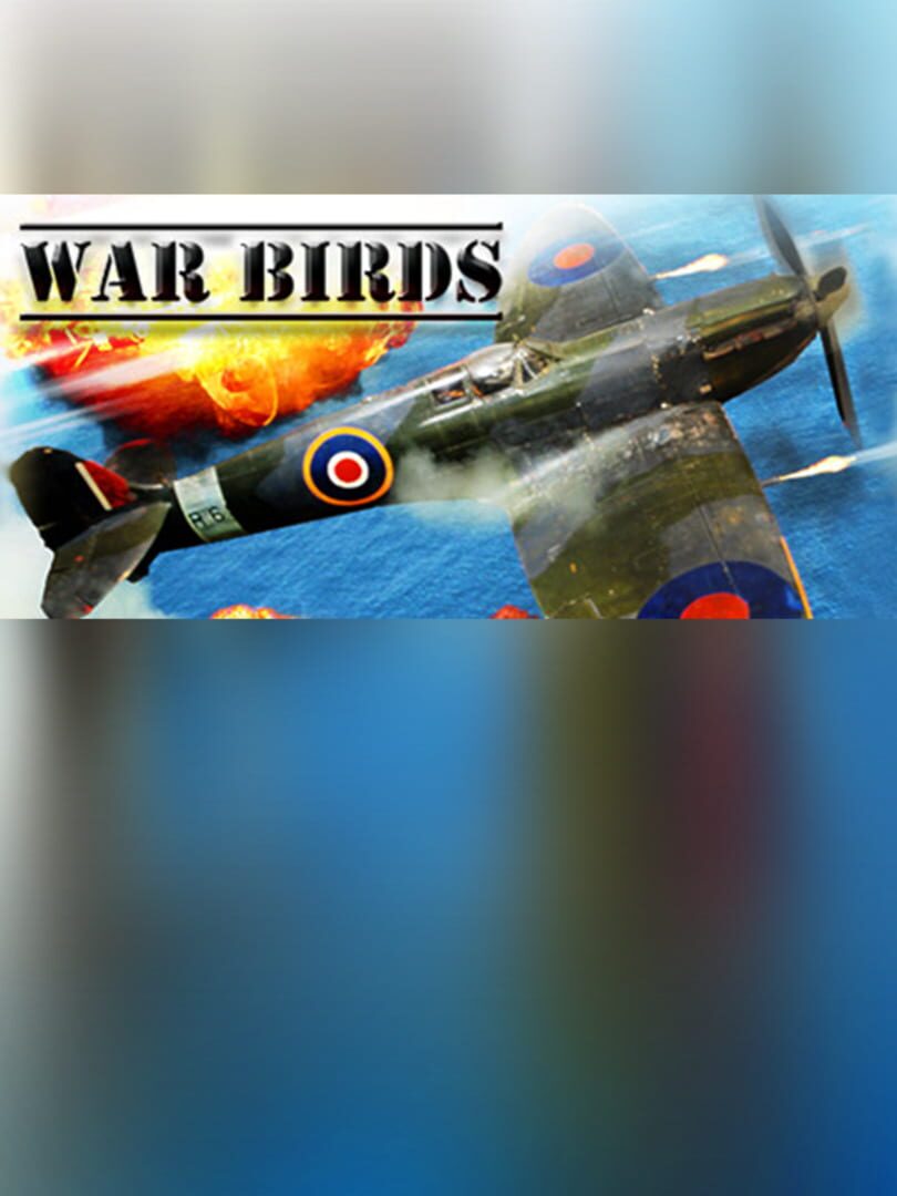 War Birds: WW2 Air strike 1942