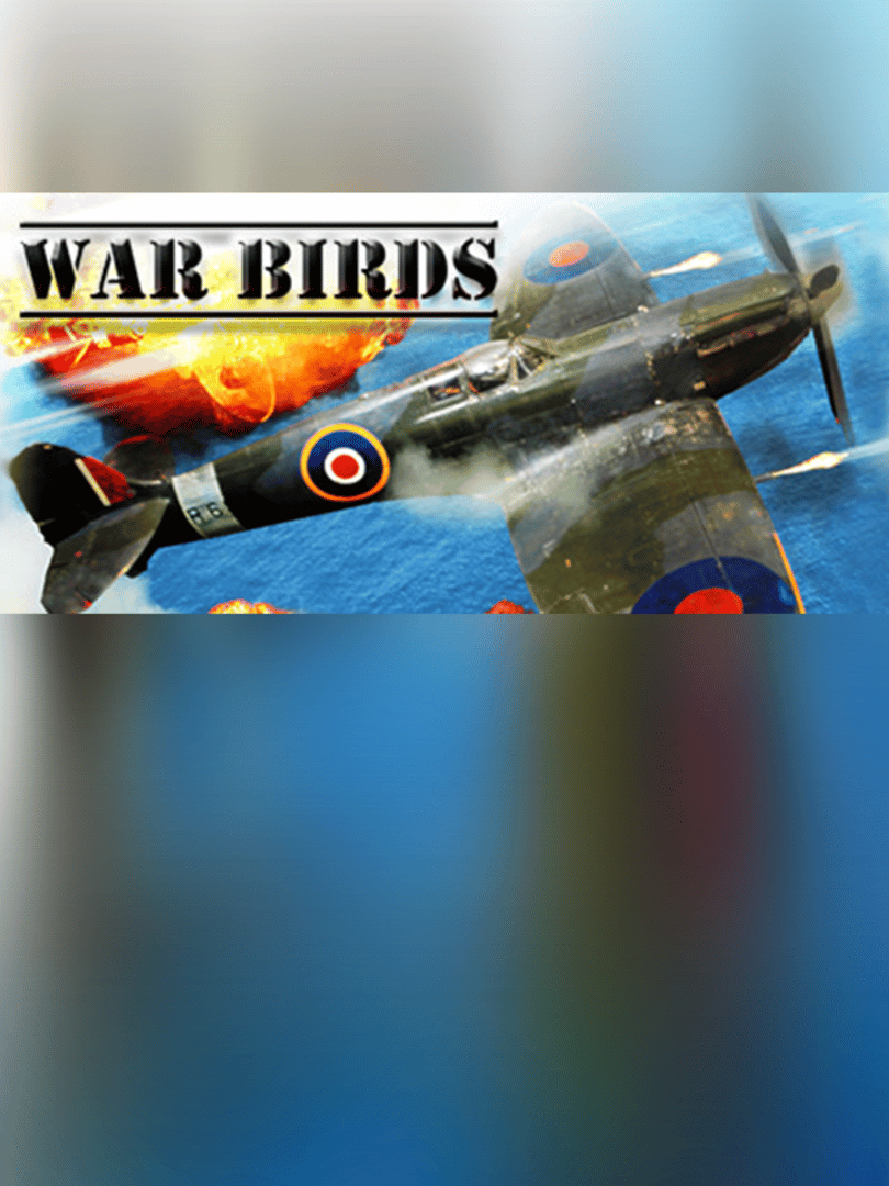War Birds: WW2 Air strike 1942 Cover
