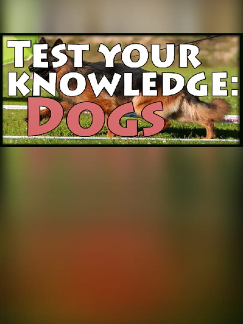 Test your knowledge: Dogs