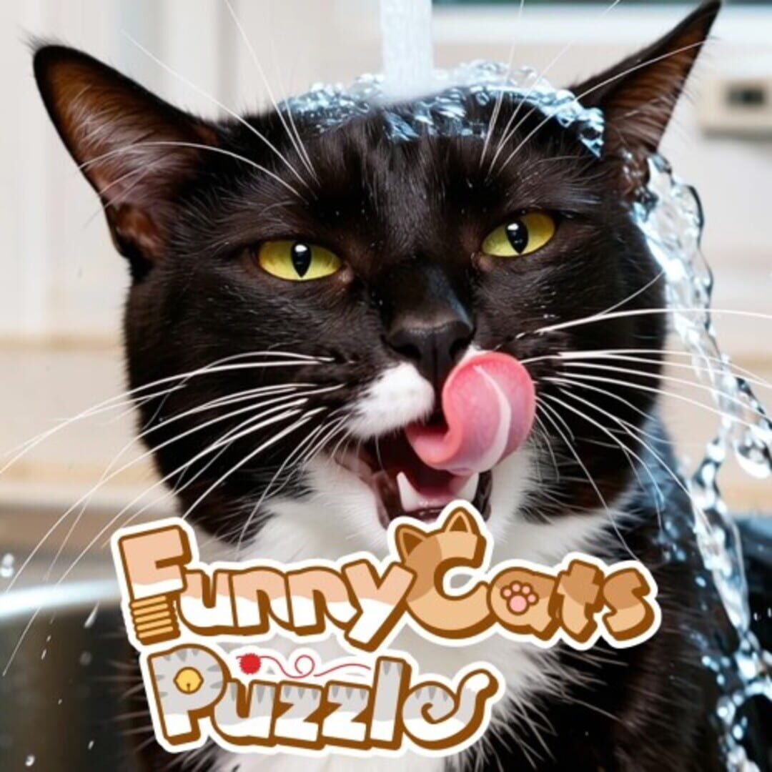 Jeu : Funny Cats Puzzle