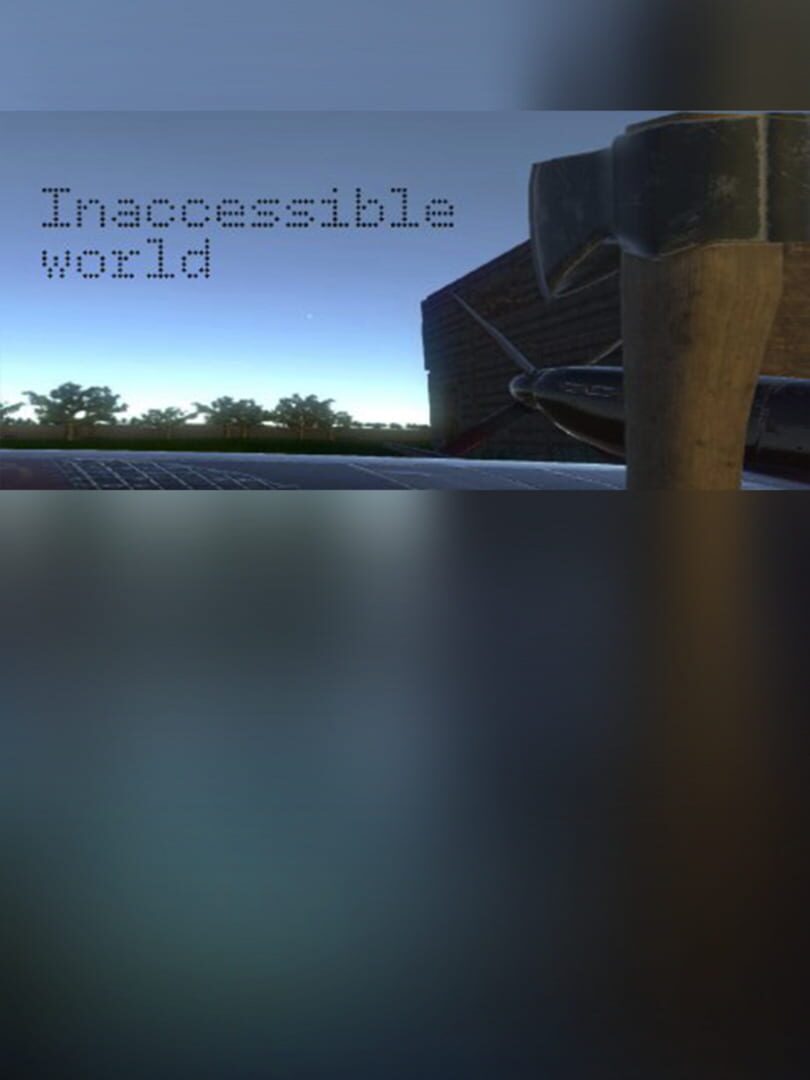 Inaccessible World