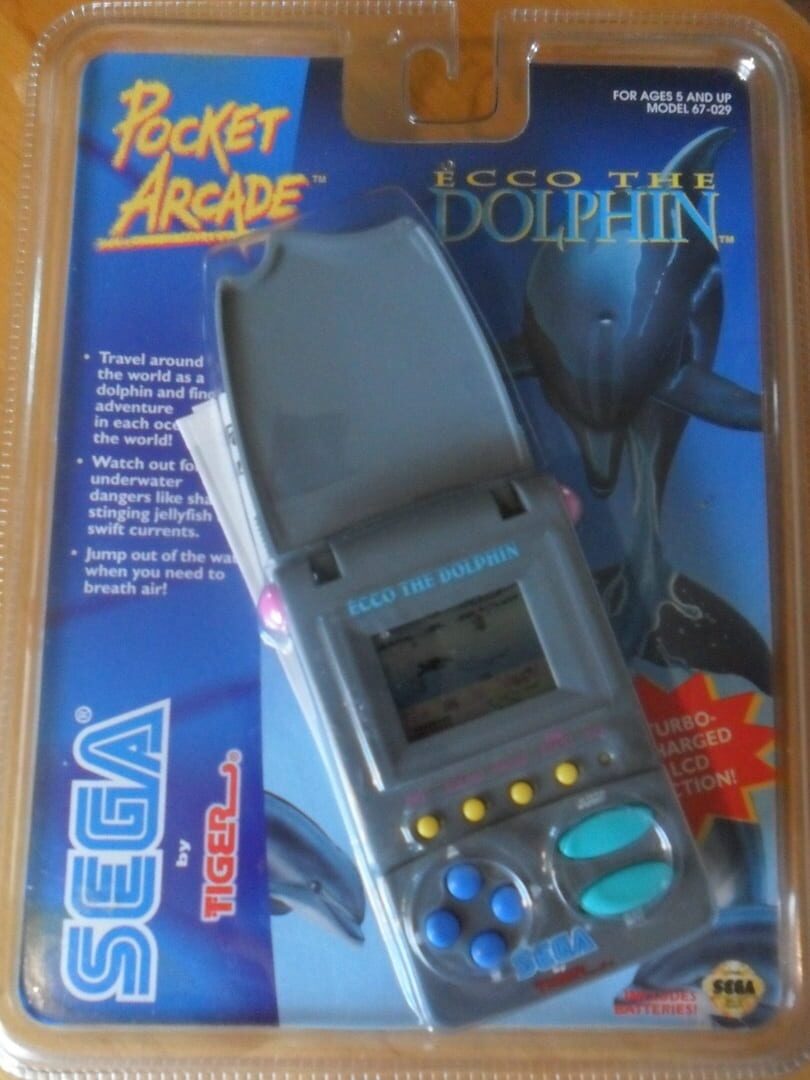 Ecco the Dolphin