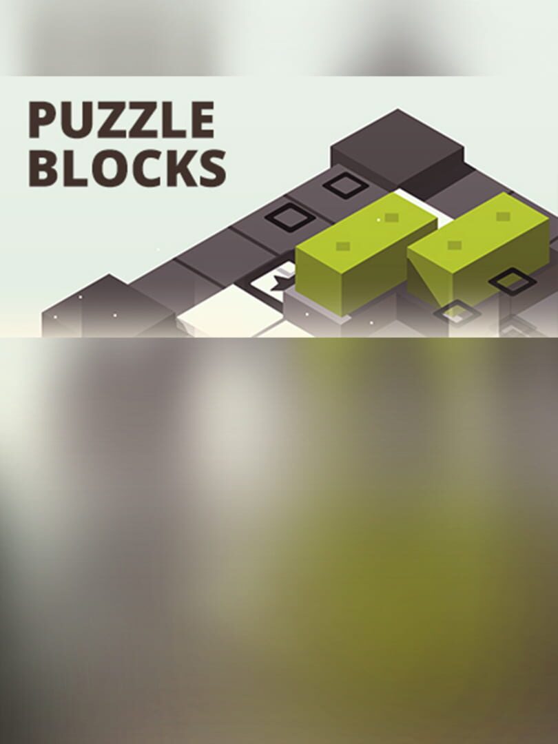 Puzzle Blocks