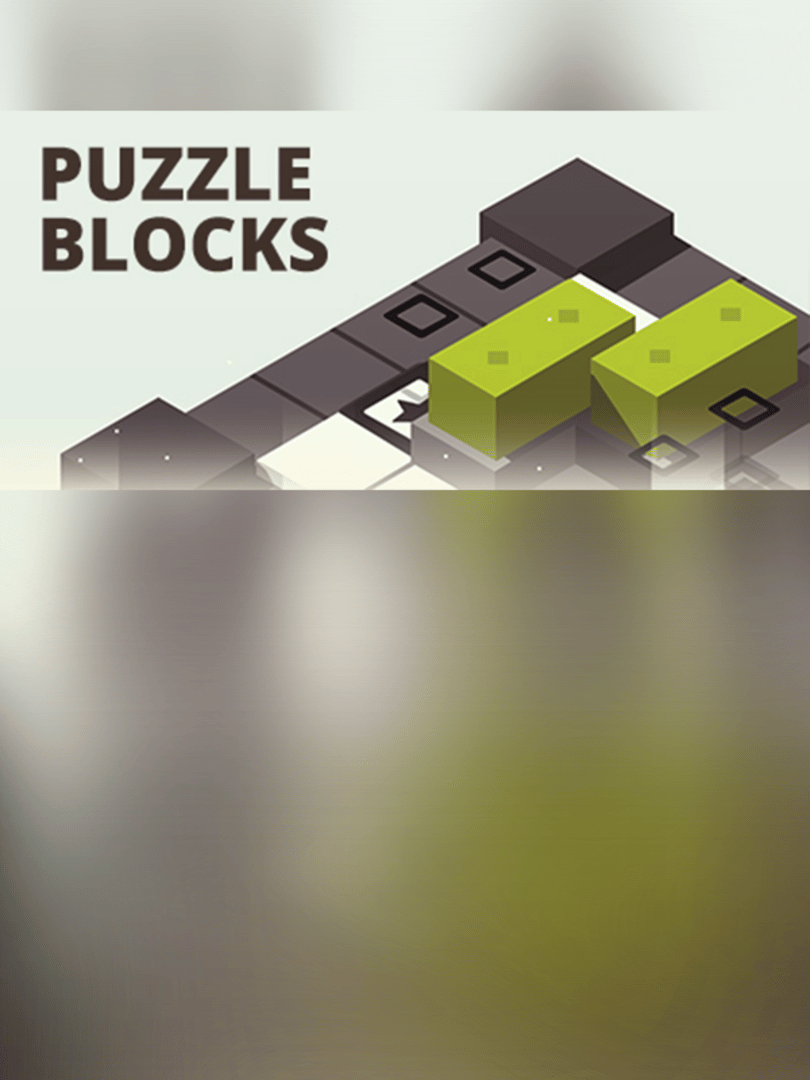 Puzzle Blocks Cover