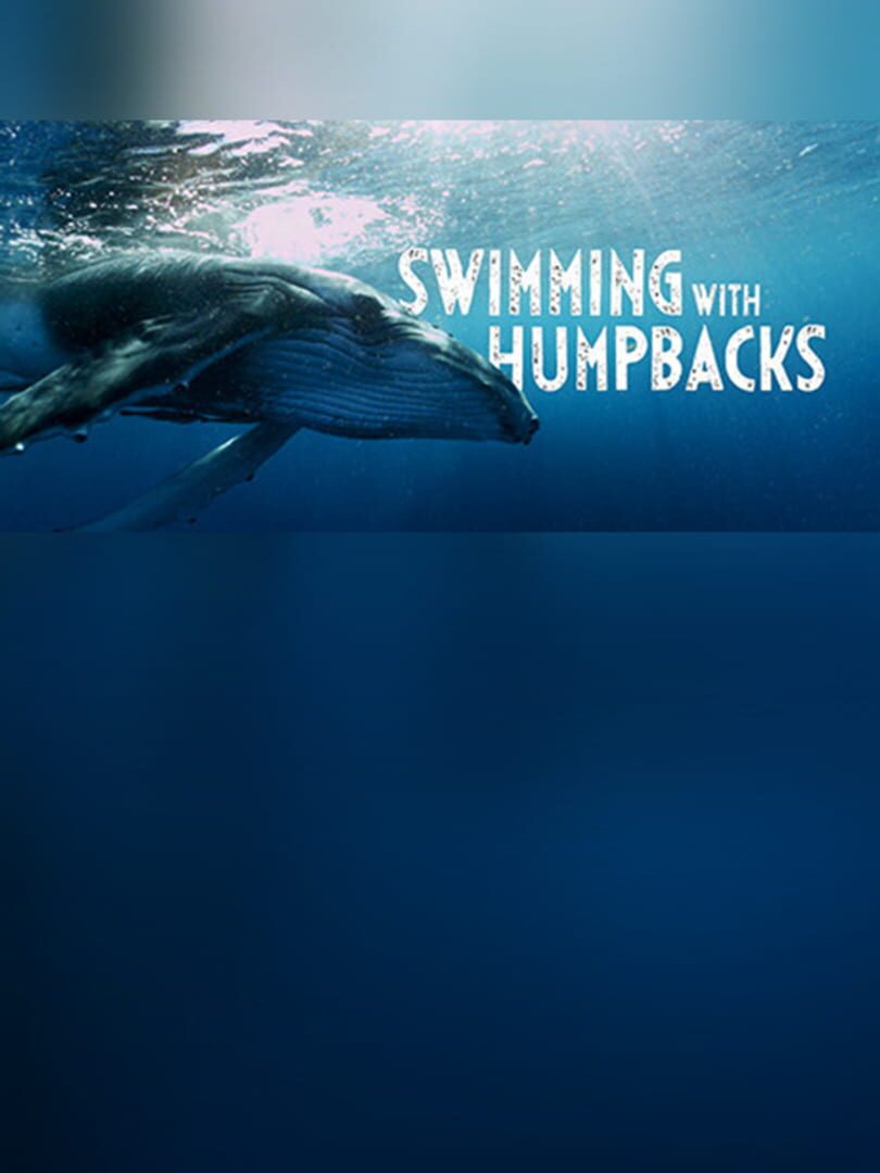 Swimming with Humpbacks
