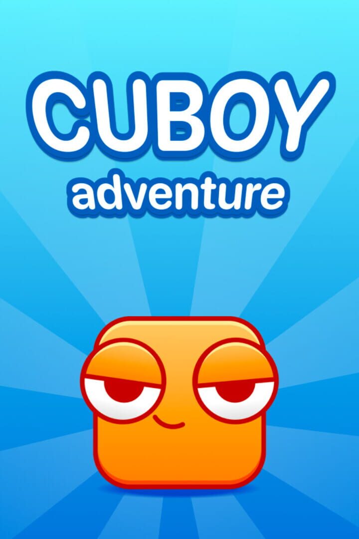 Jeu : Cuboy Adventure