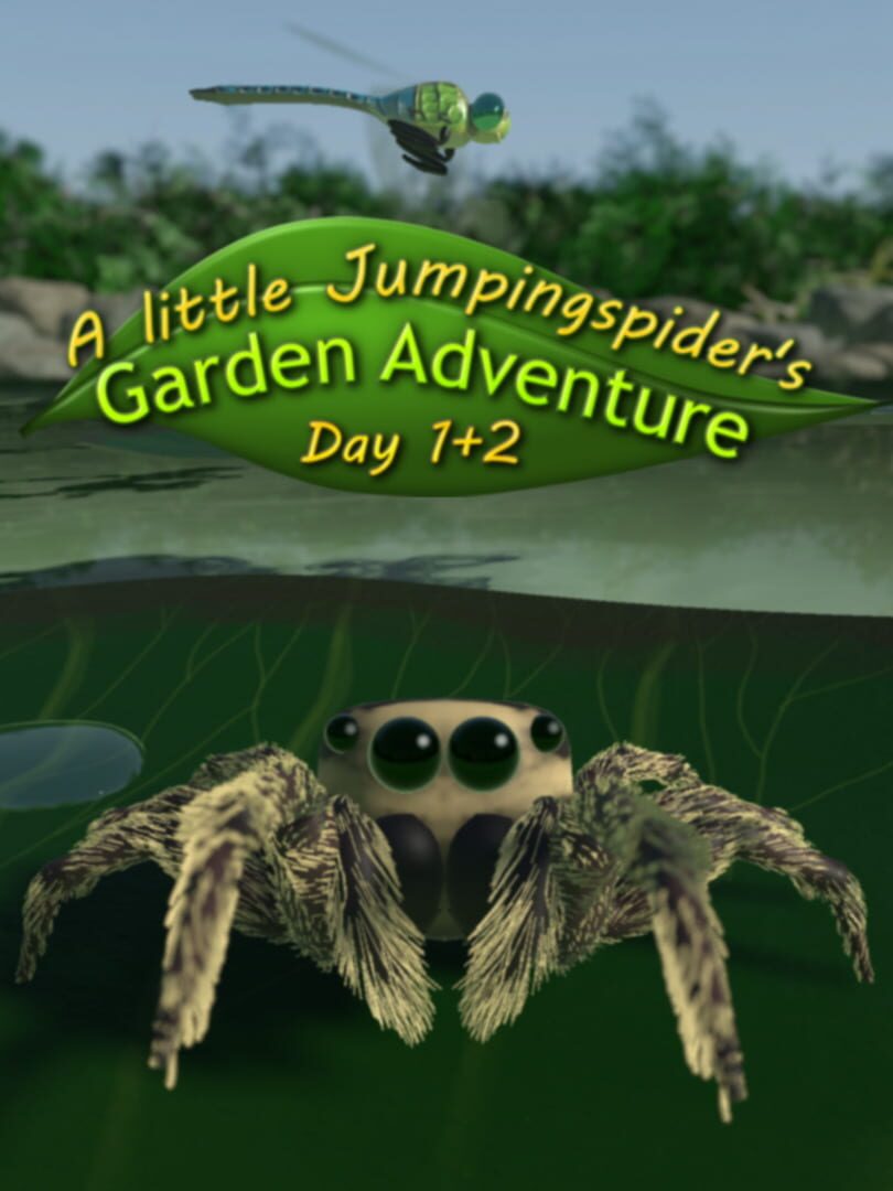 A little Jumpingspider's Garden Adventure (Day 1+2)