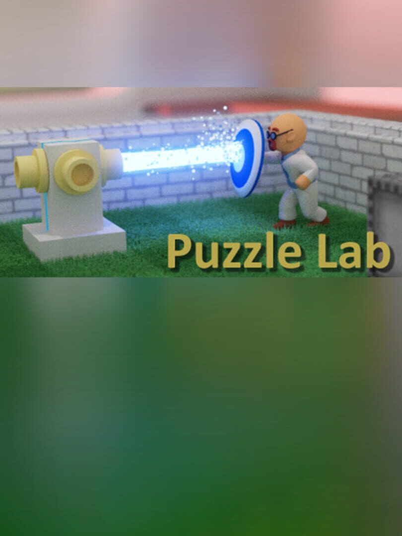 Puzzle Lab