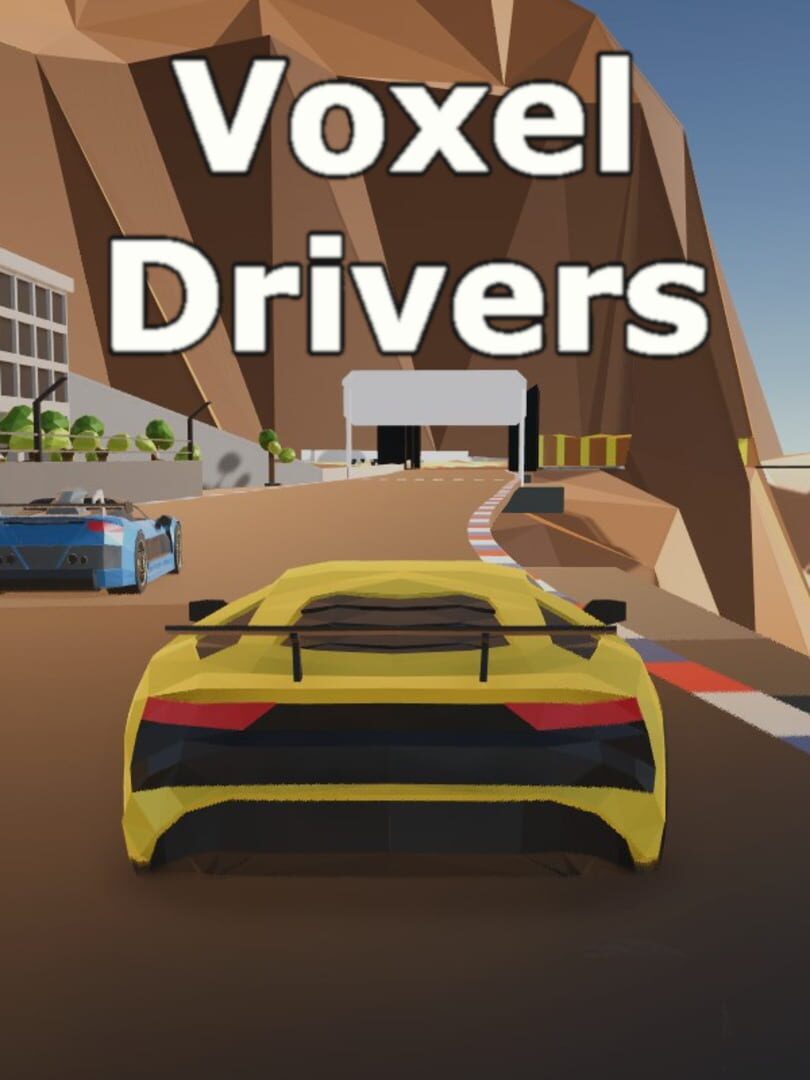 Voxel Drivers