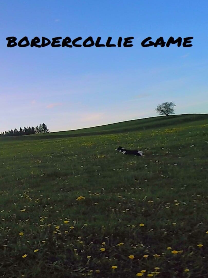 BorderCollie Game