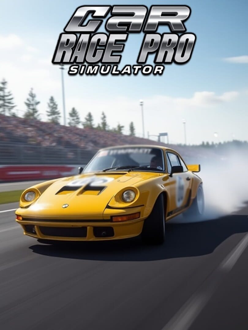 Car Race Pro Simulator