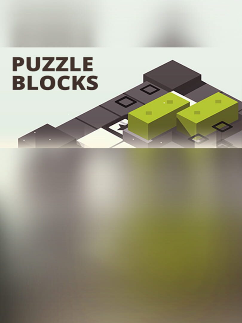 Puzzle Blocks