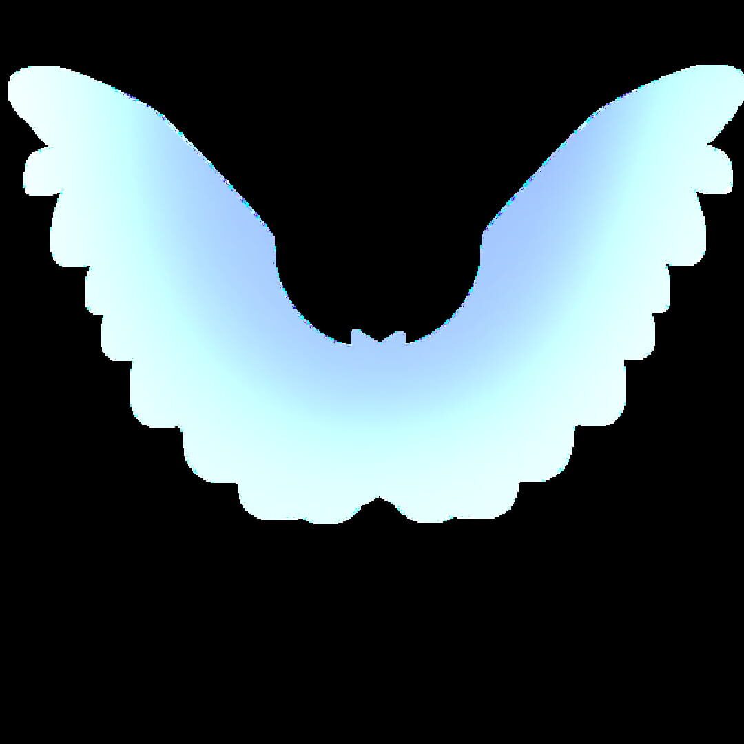 Amicusia