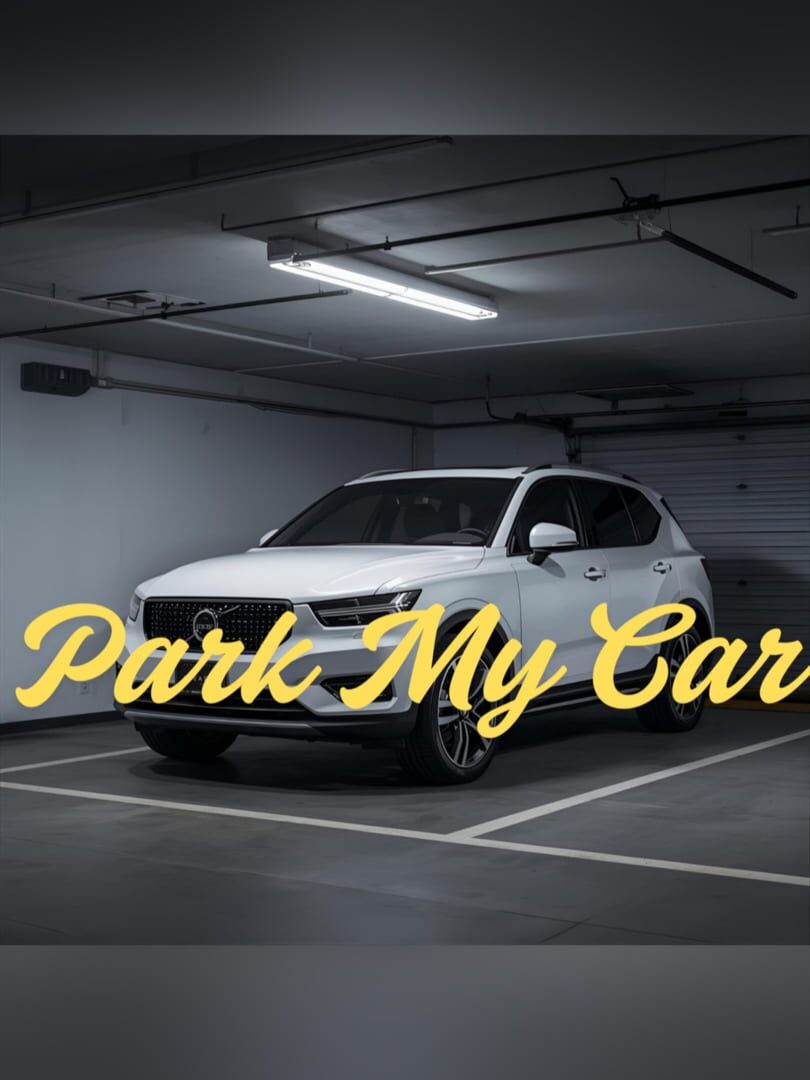 Jeu : Park My Car