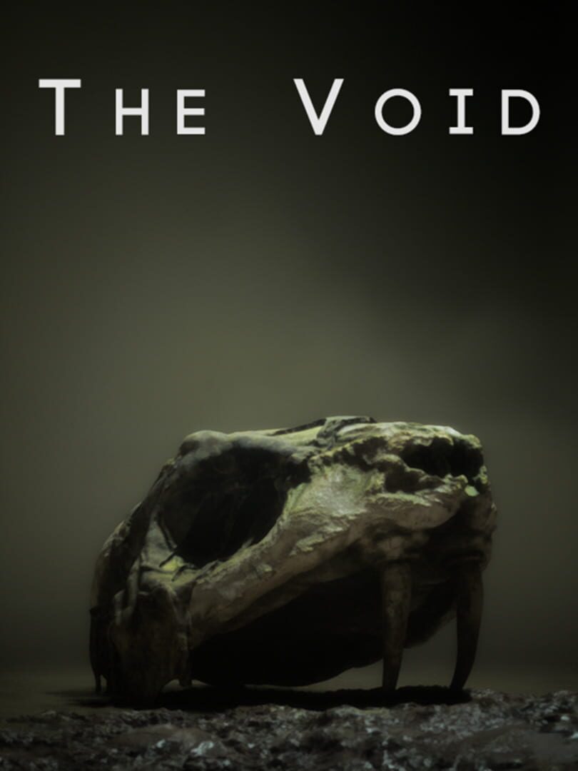 The Void