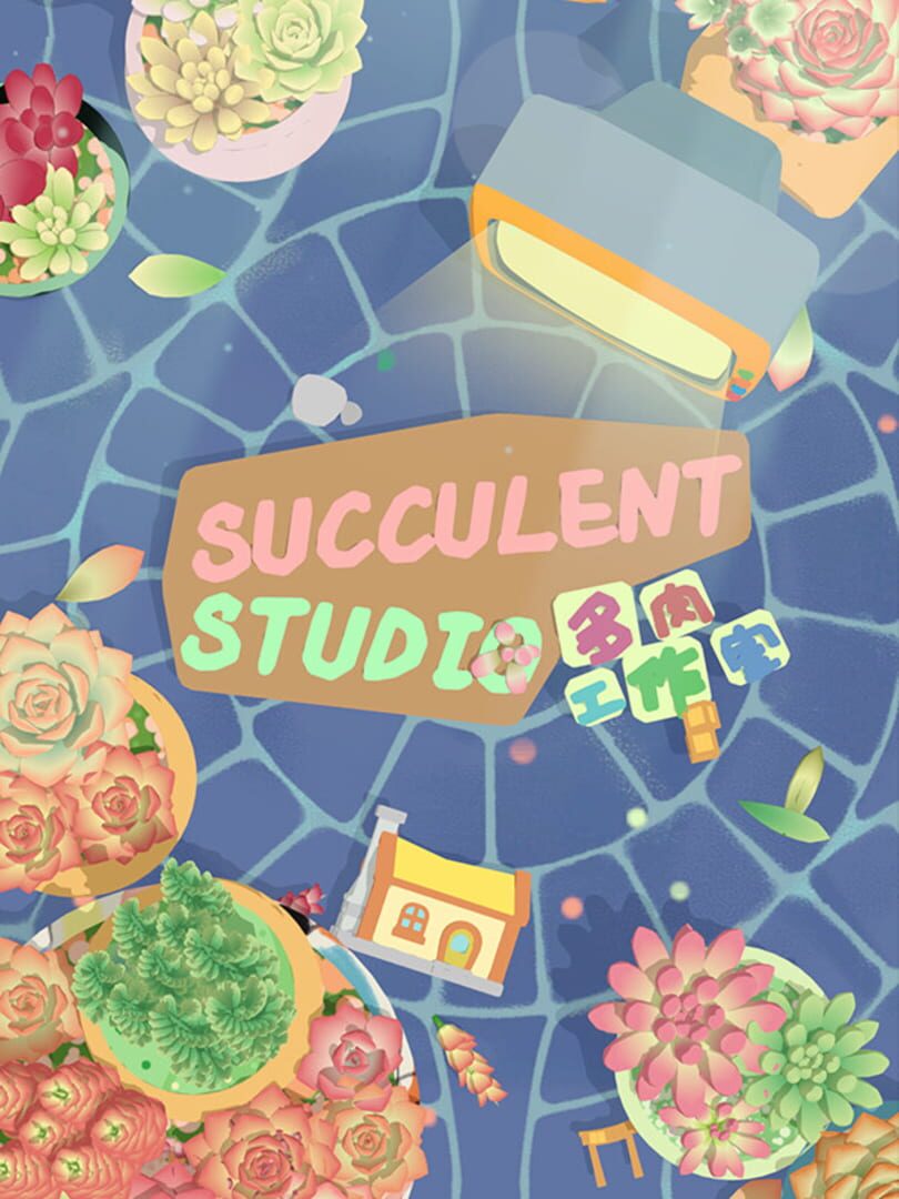 Succulent Studio