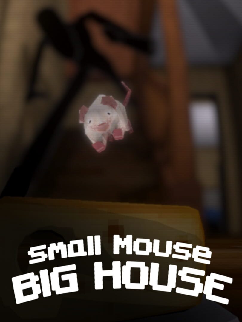 Small Mouse Big House