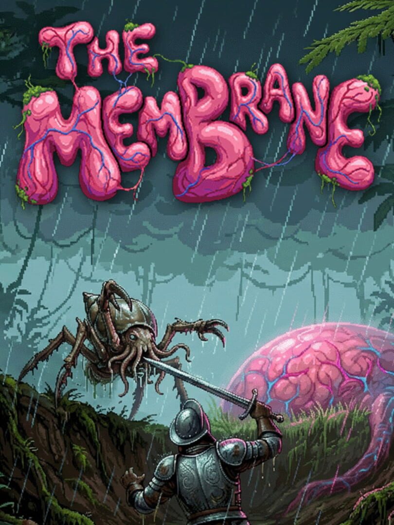 Cover image of The Membrane
