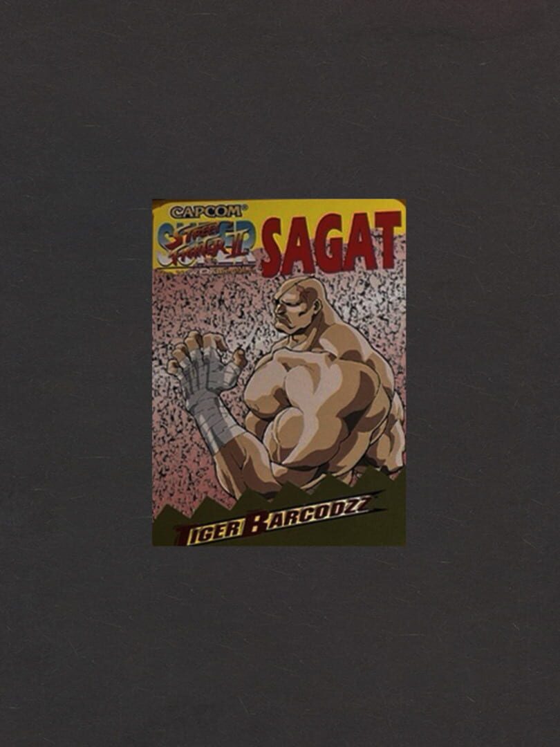 Super Street Fighter II: The New Challengers - Tiger Barcodzz: Sagat
