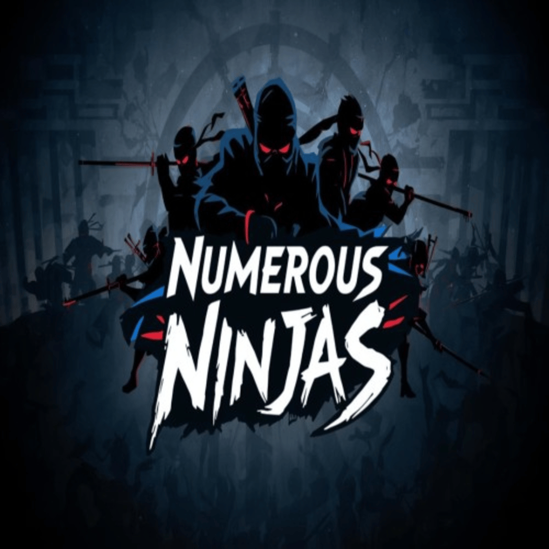 Numerous Ninjas Cover