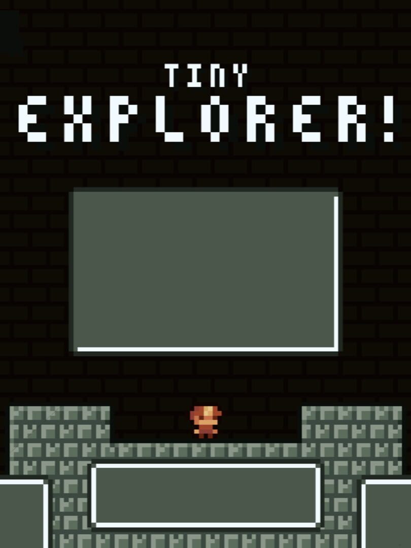 Tiny Explorer