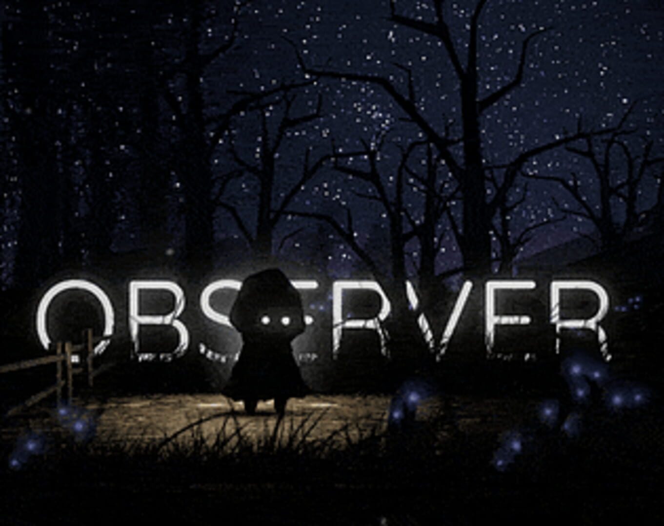 Observer