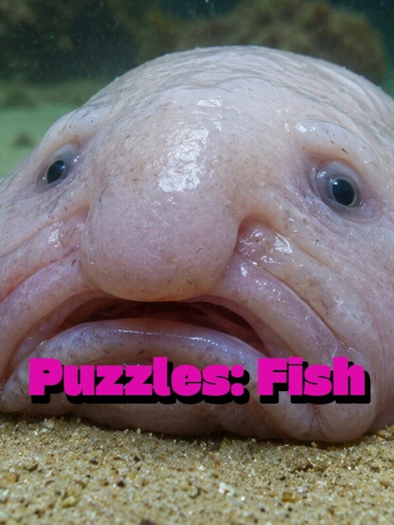 Puzzles: Fish