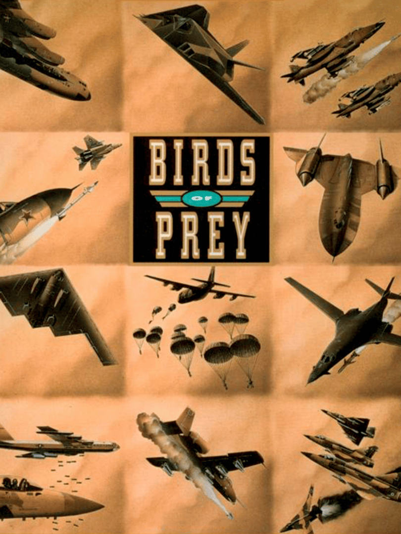 Birds of Prey Cover