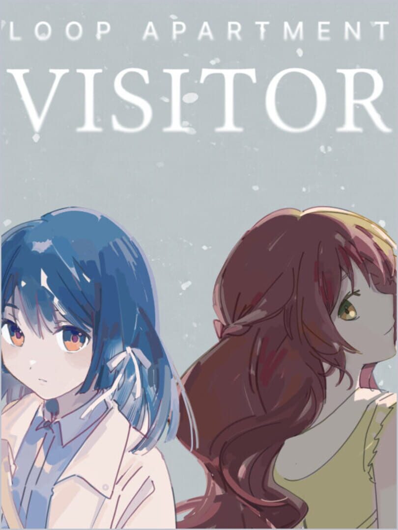 Loop Apartment: Visitor
