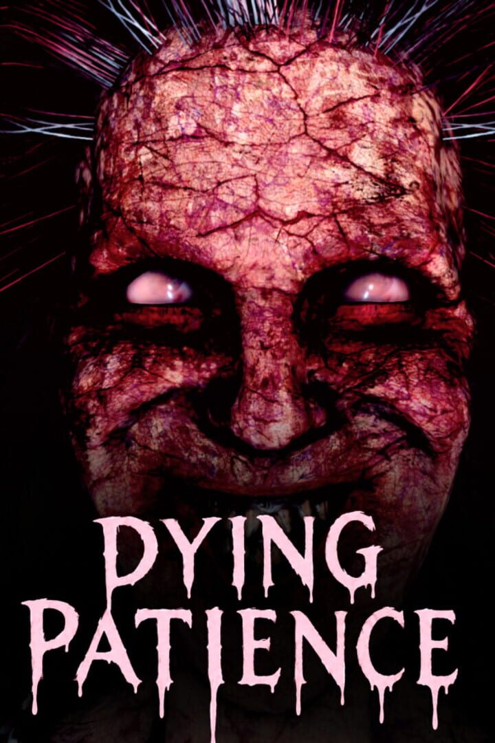 Dying Patience cover