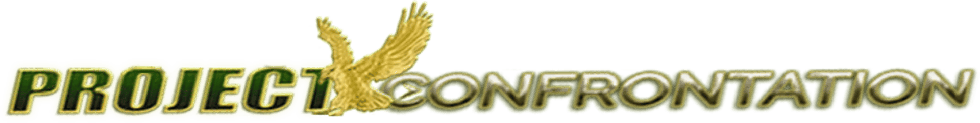 Project Confrontation Cover