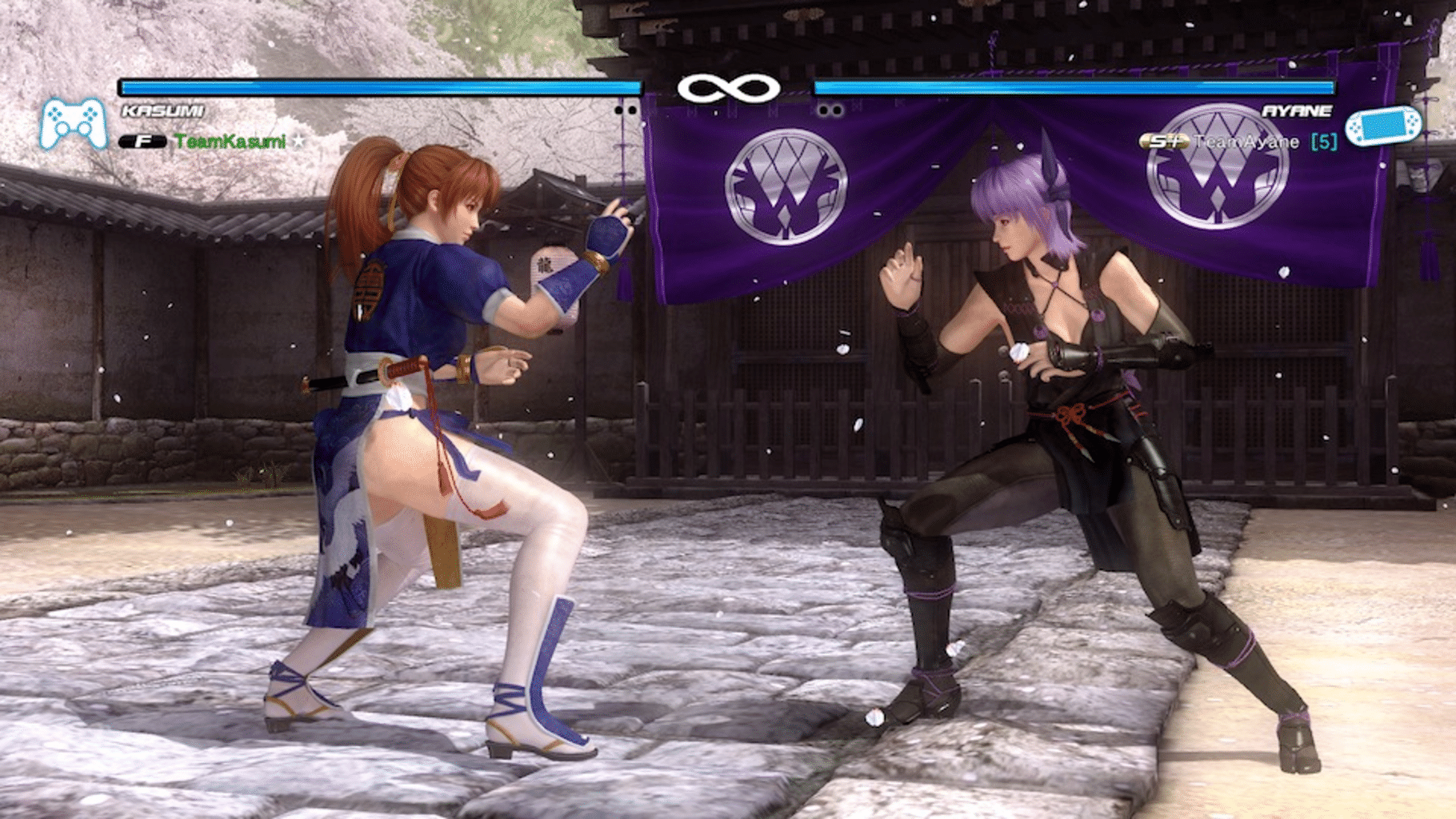 Dead or Alive 5 Plus screenshot