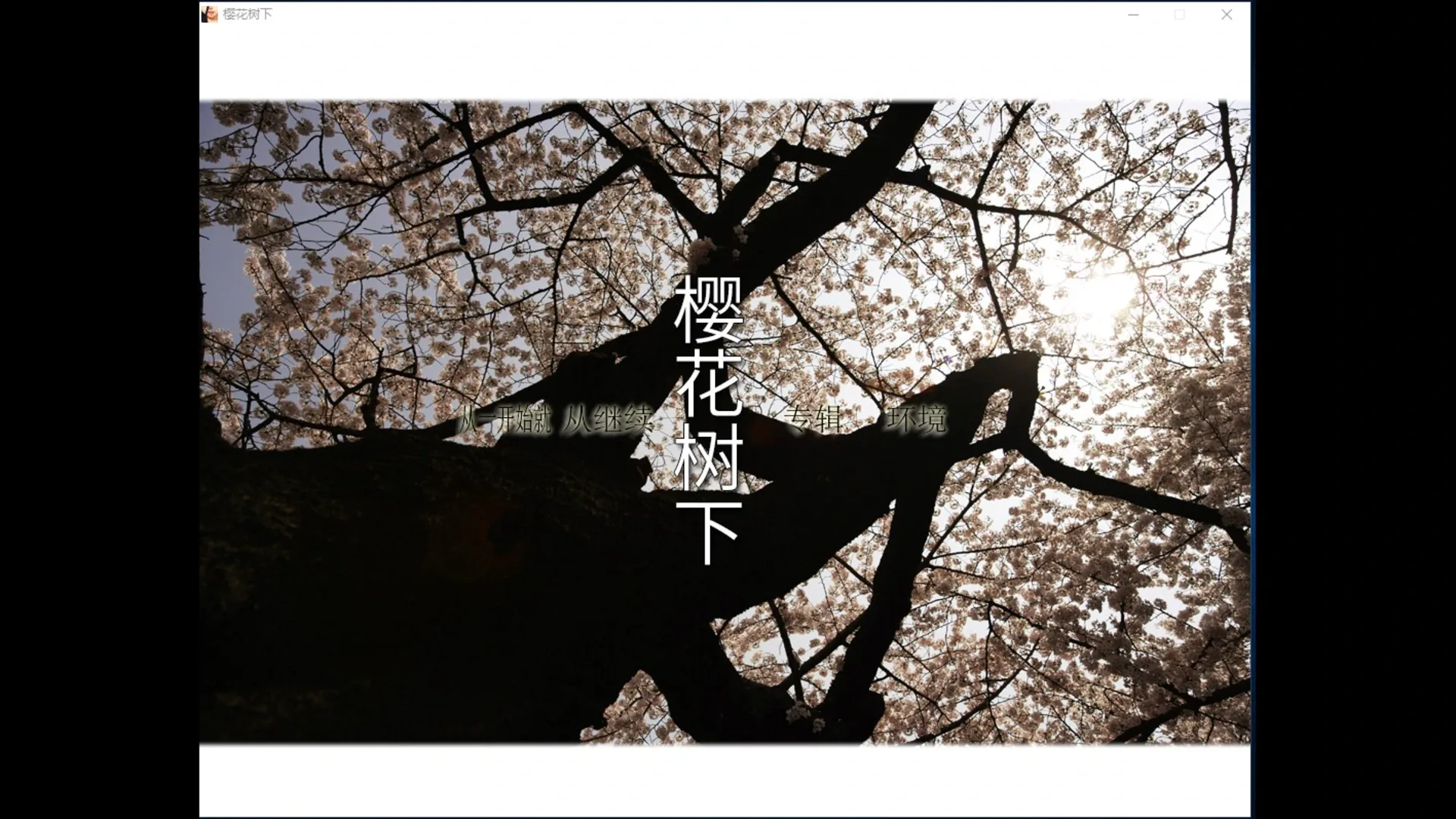 Beneath the Cherry Trees