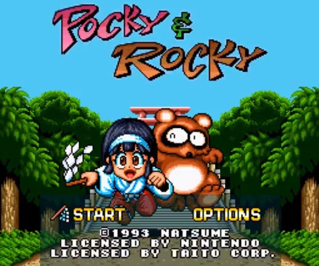 Captura de pantalla - Pocky & Rocky