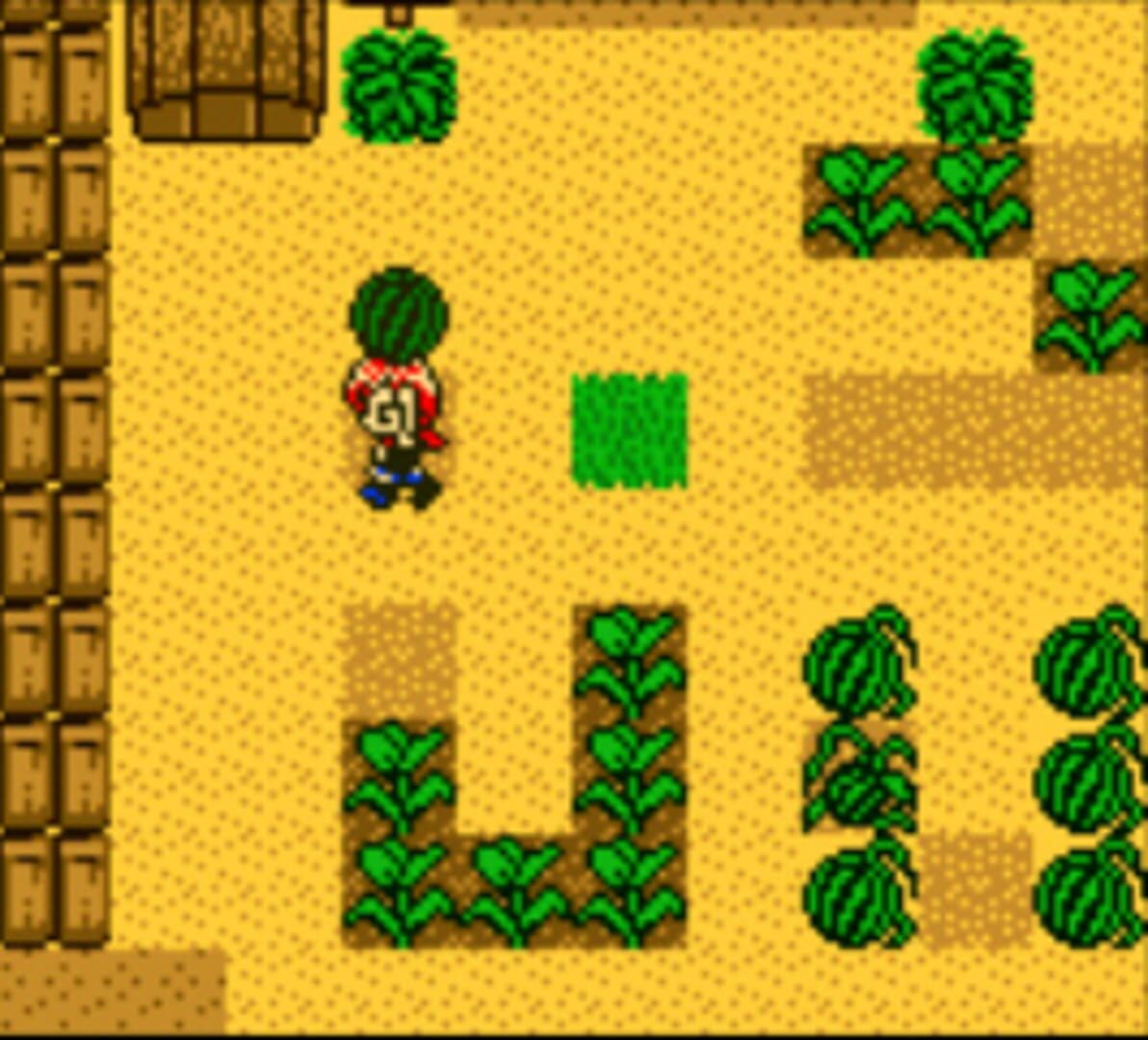 Captura de pantalla - Harvest Moon 2 GBC