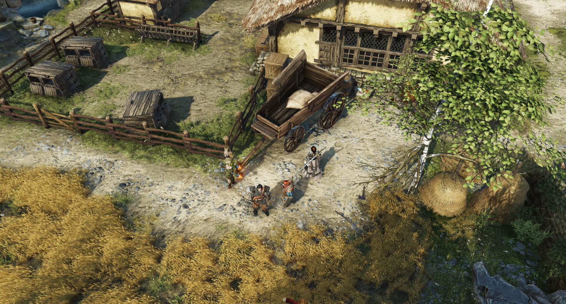 Divinity: Original Sin II screenshot