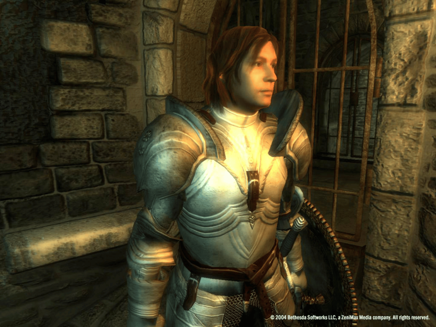 The Elder Scrolls IV: Oblivion - Game of the Year Edition screenshot