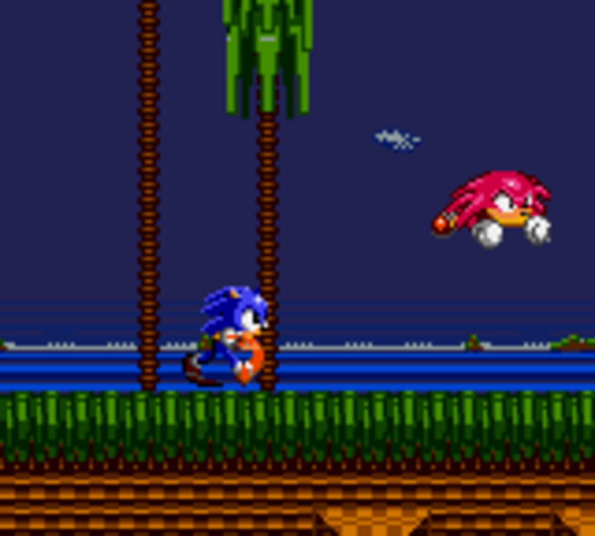 Captura de pantalla - Sonic the Hedgehog: Triple Trouble