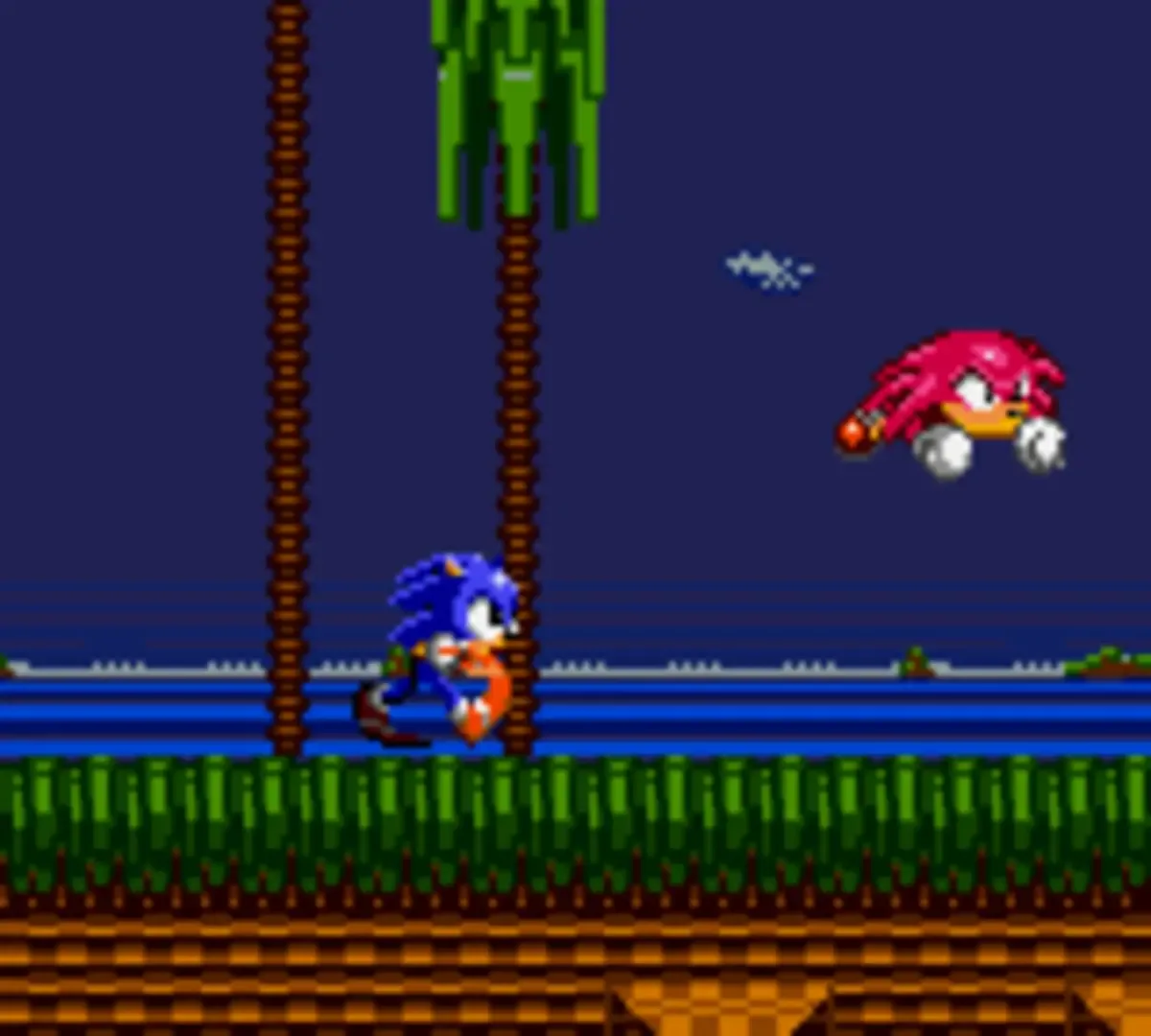 Captura de pantalla - Sonic the Hedgehog: Triple Trouble