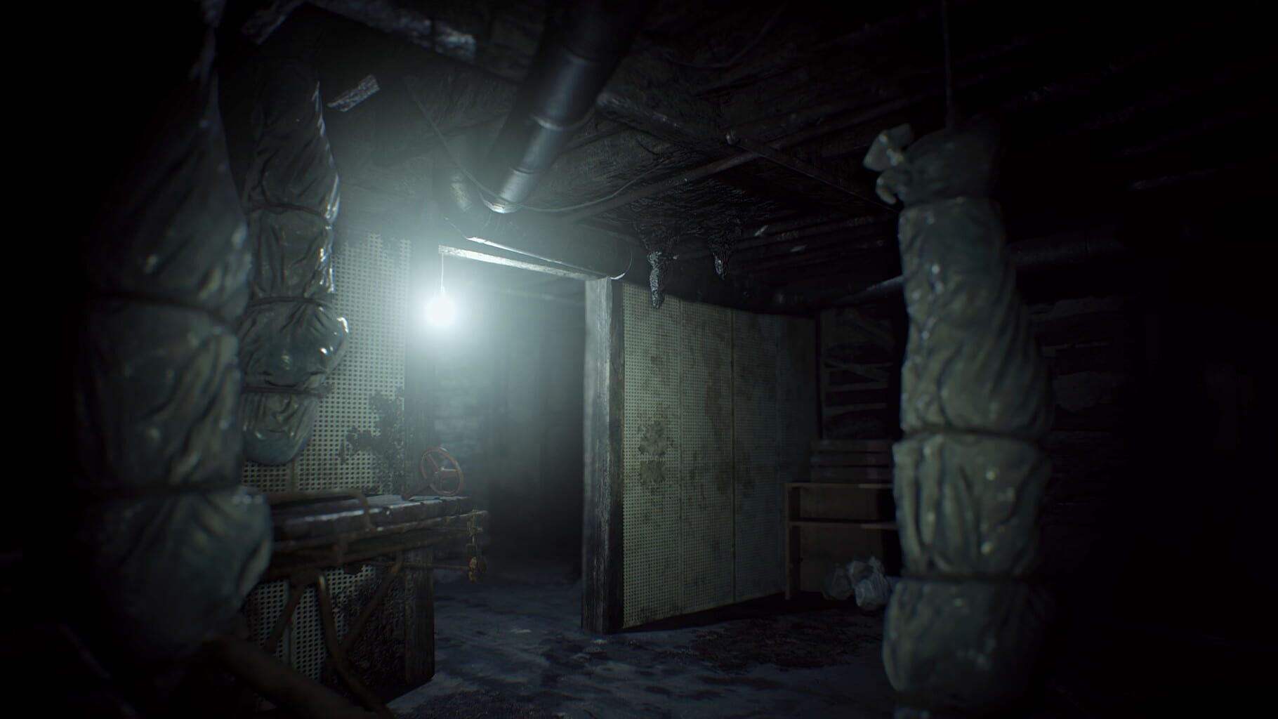 Captura de pantalla - Resident Evil 7 Teaser: Beginning Hour