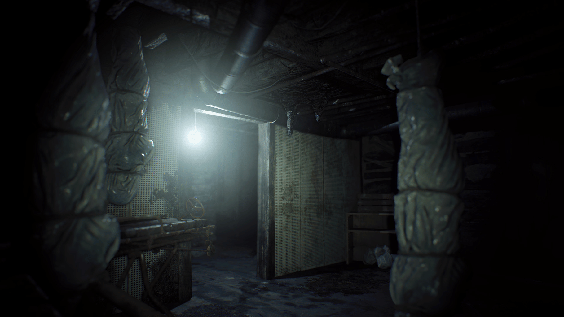 Resident Evil 7 Teaser: Beginning Hour screenshot