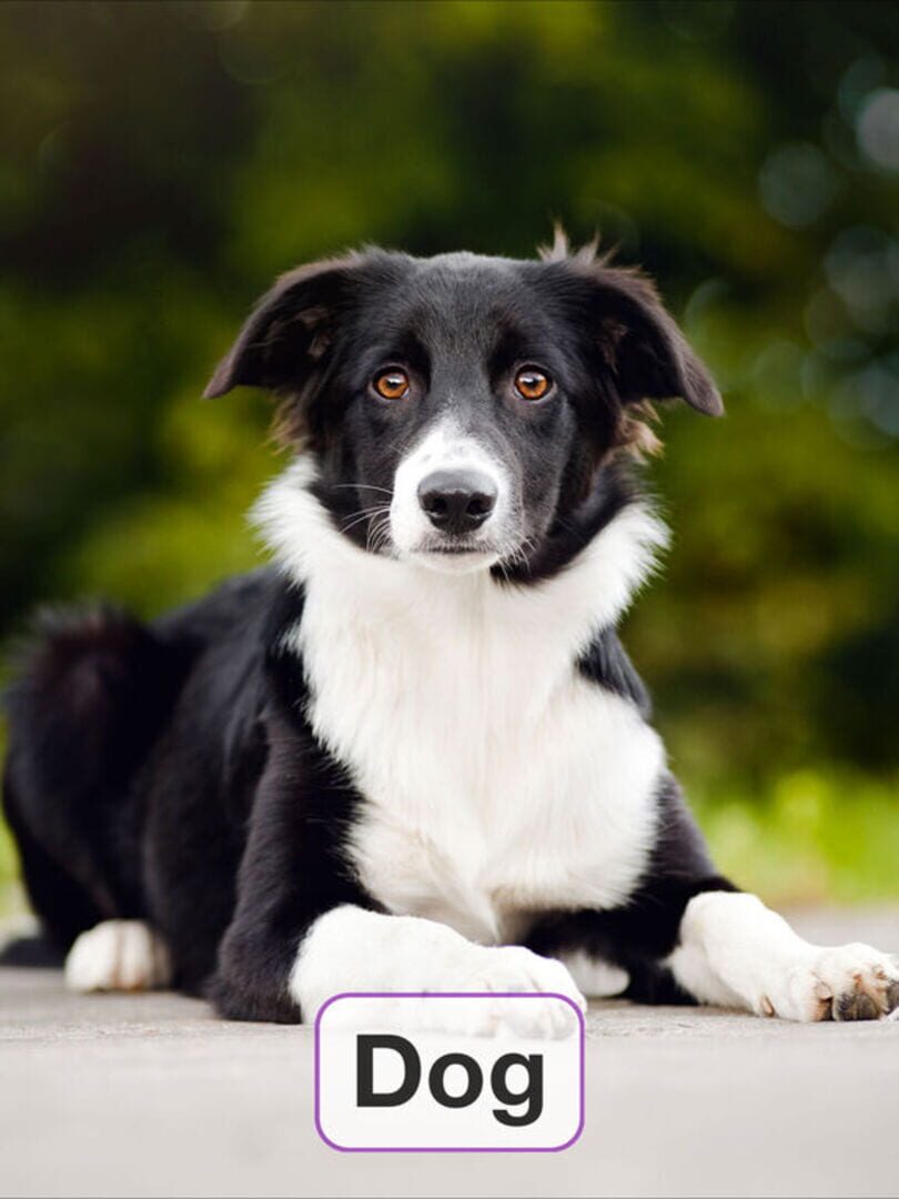 Toddler Flashcards HD: Baby Learning Games & Apps - Screenshot