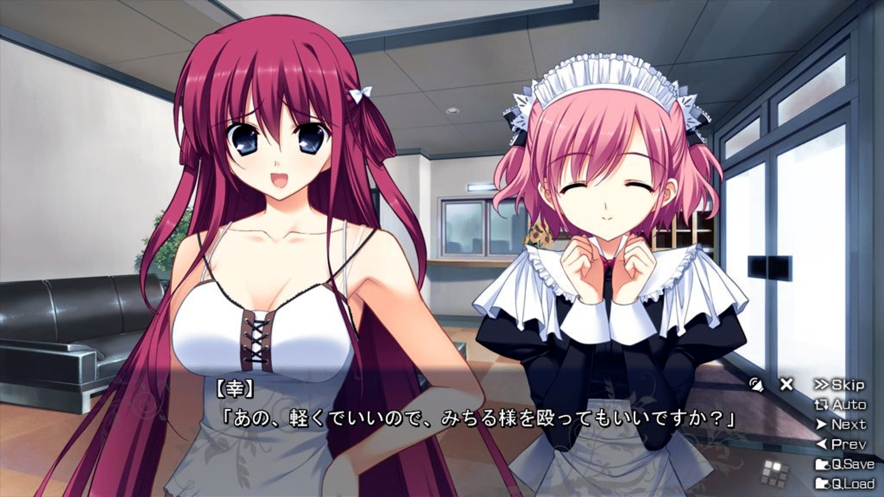 The Labyrinth of Grisaia (2012)