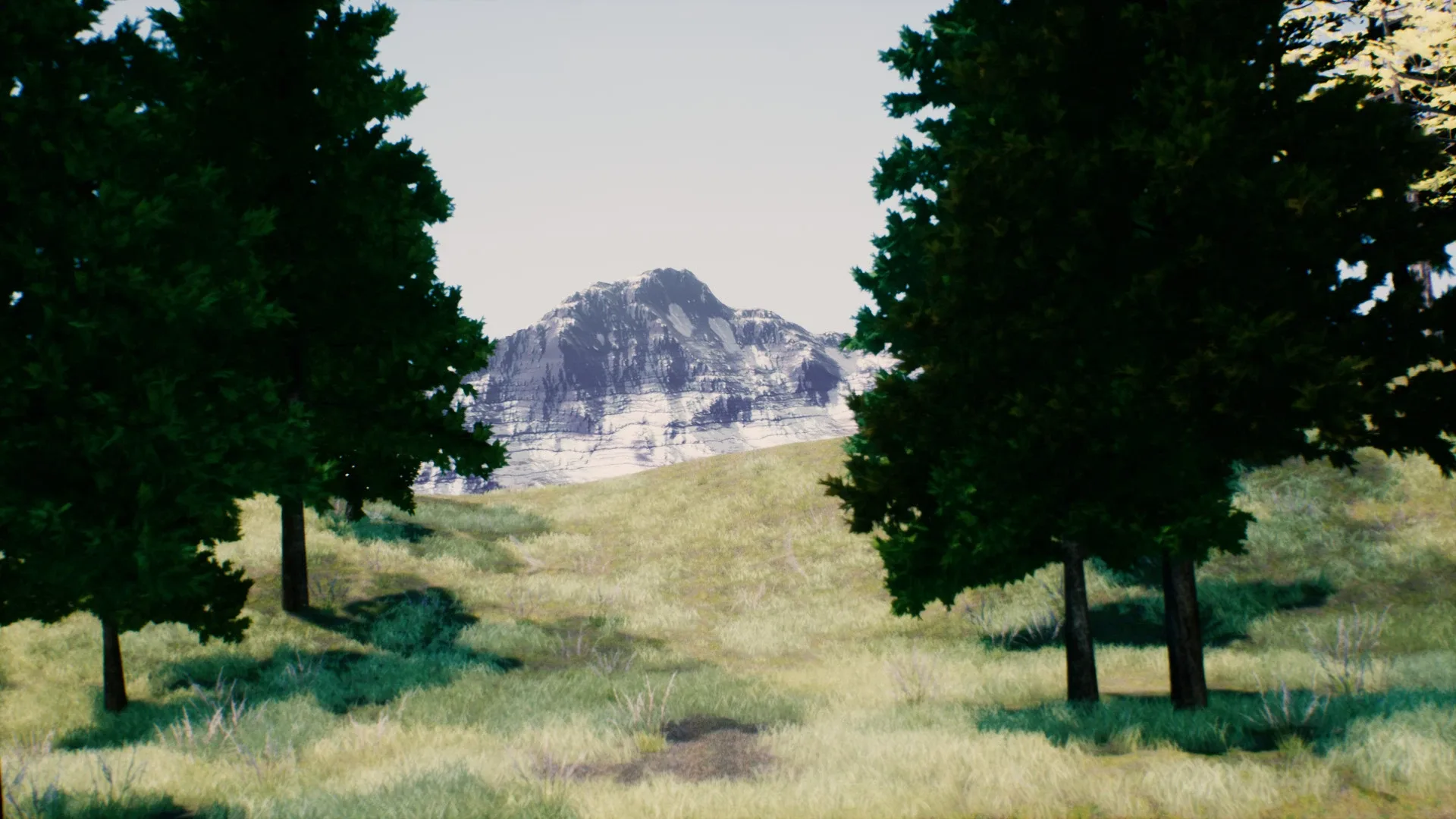 Immersive Poetry