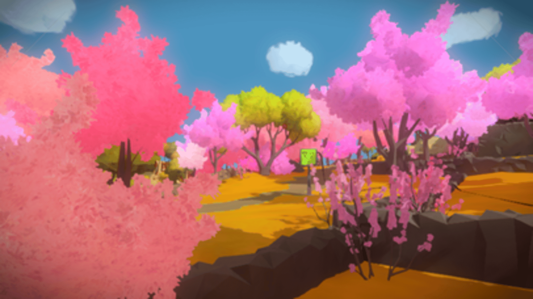 The Witness screenshot