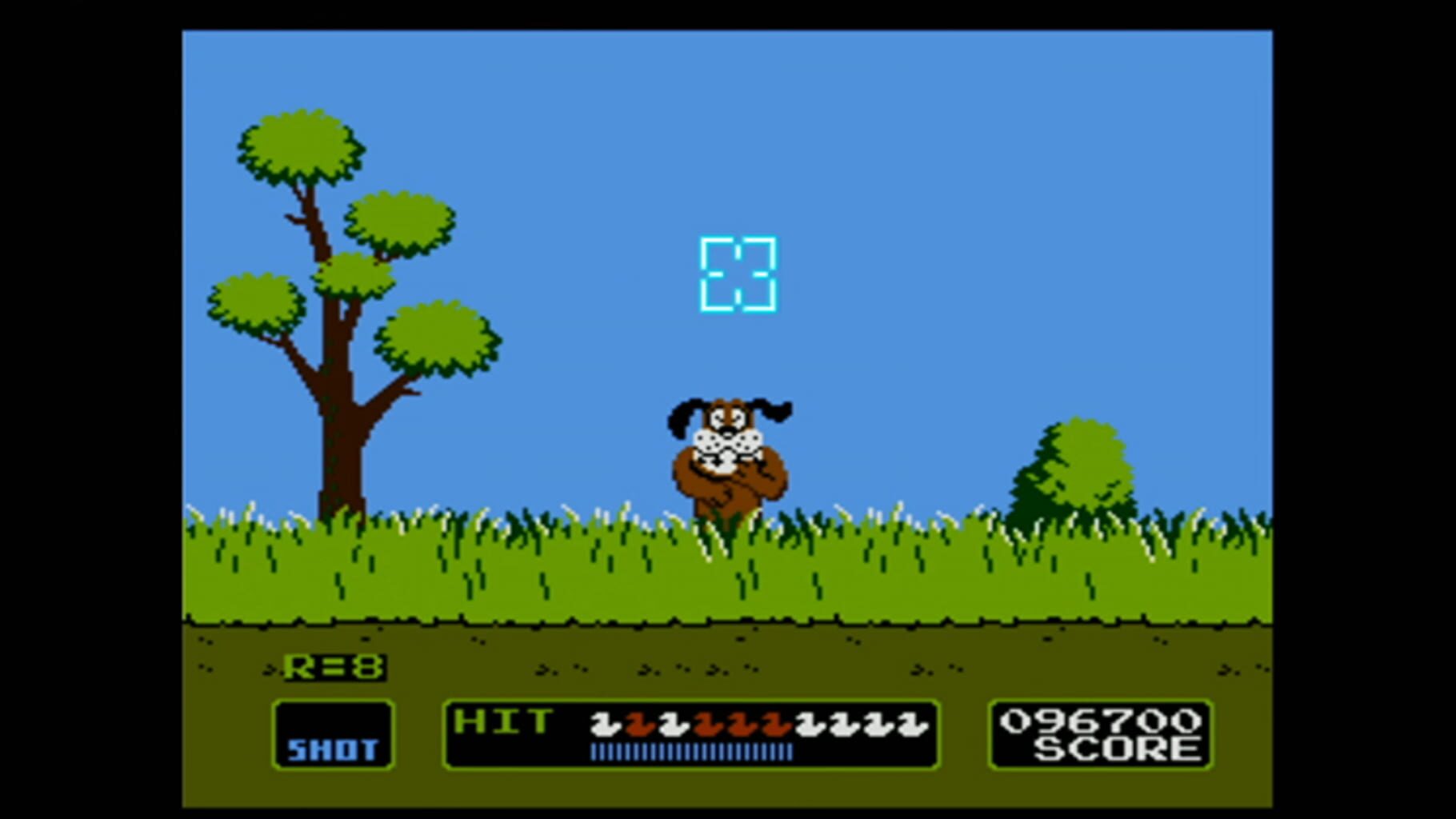 Captura de pantalla - Duck Hunt