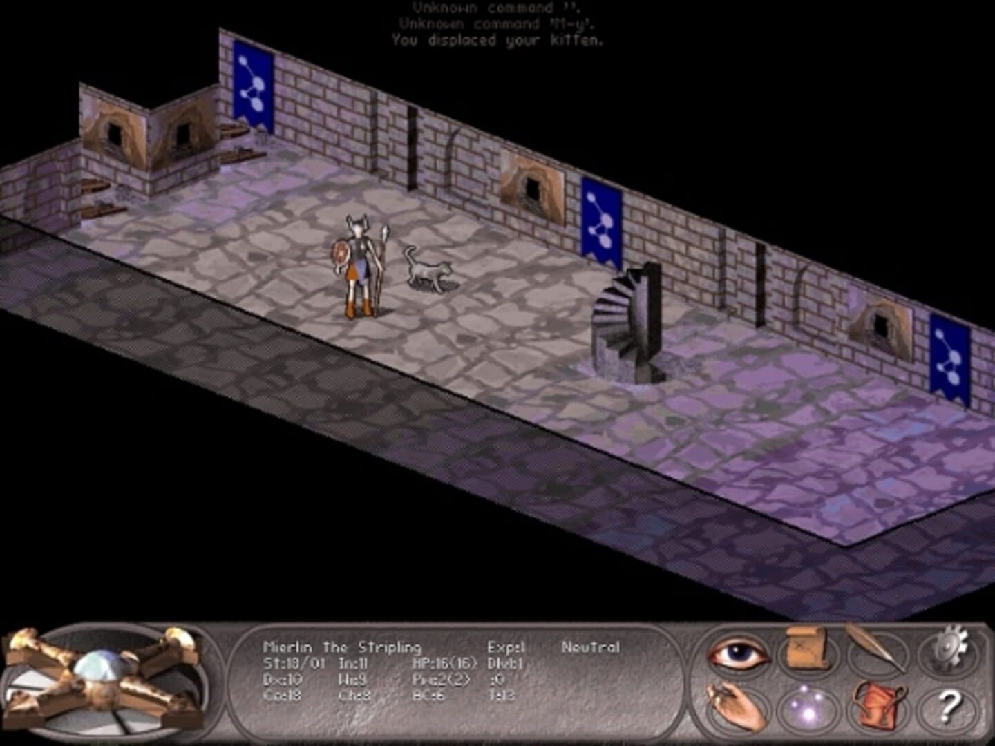 Nethack: Falcon's Eye - Screenshot