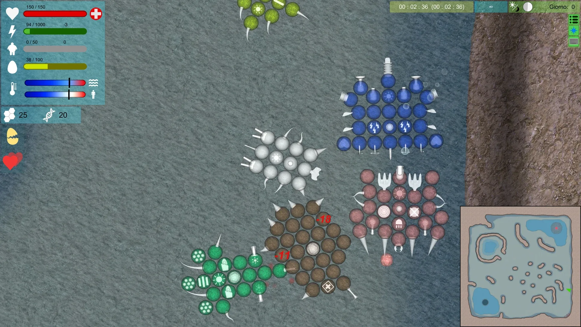 Multicellular