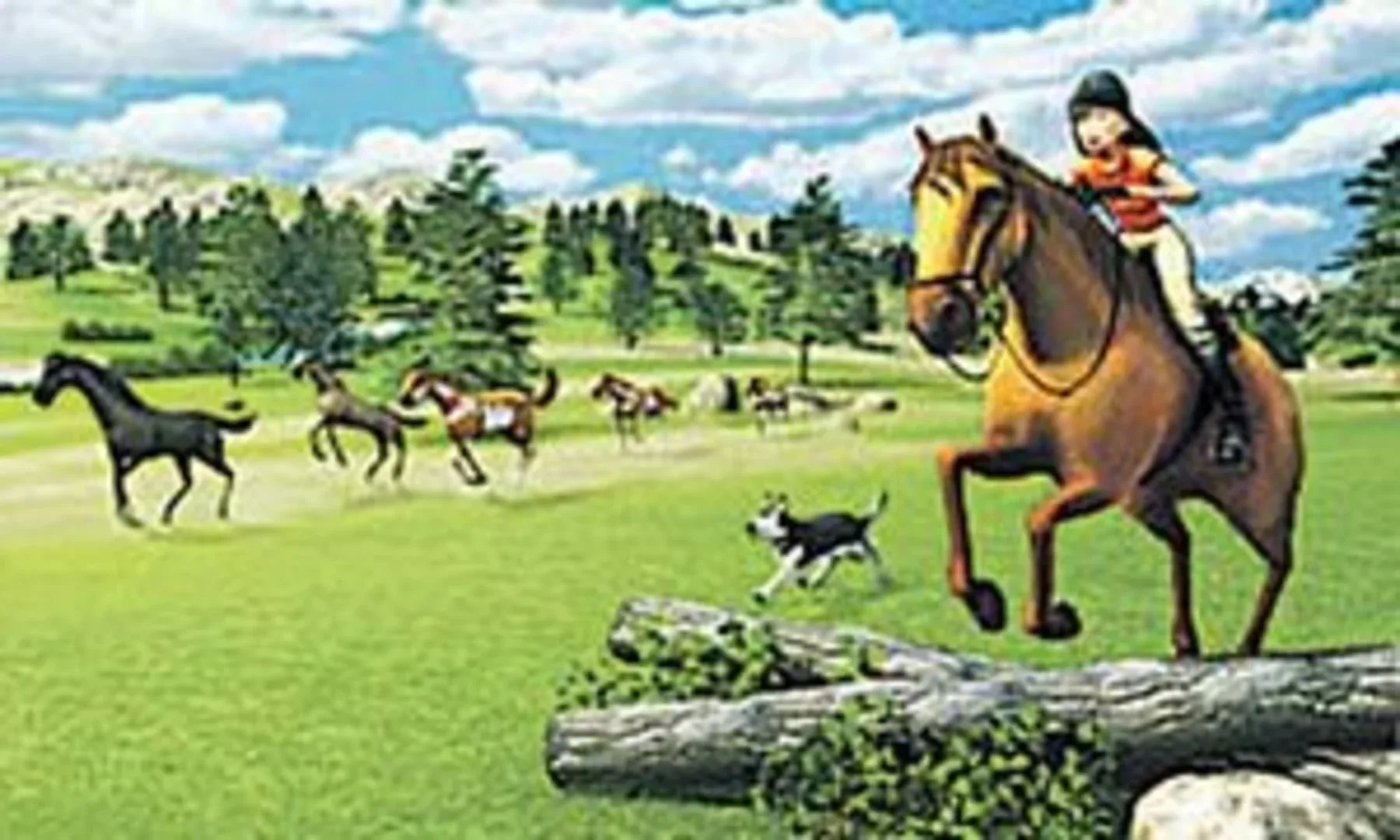 Imagine: Champion Rider